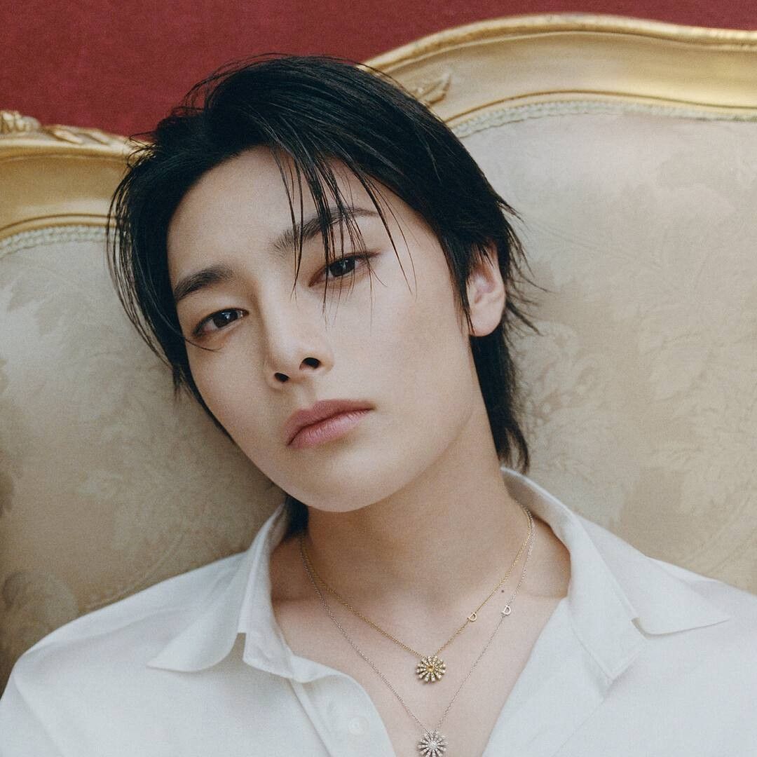 A moment captured by I.N (Stray Kids)'s fan