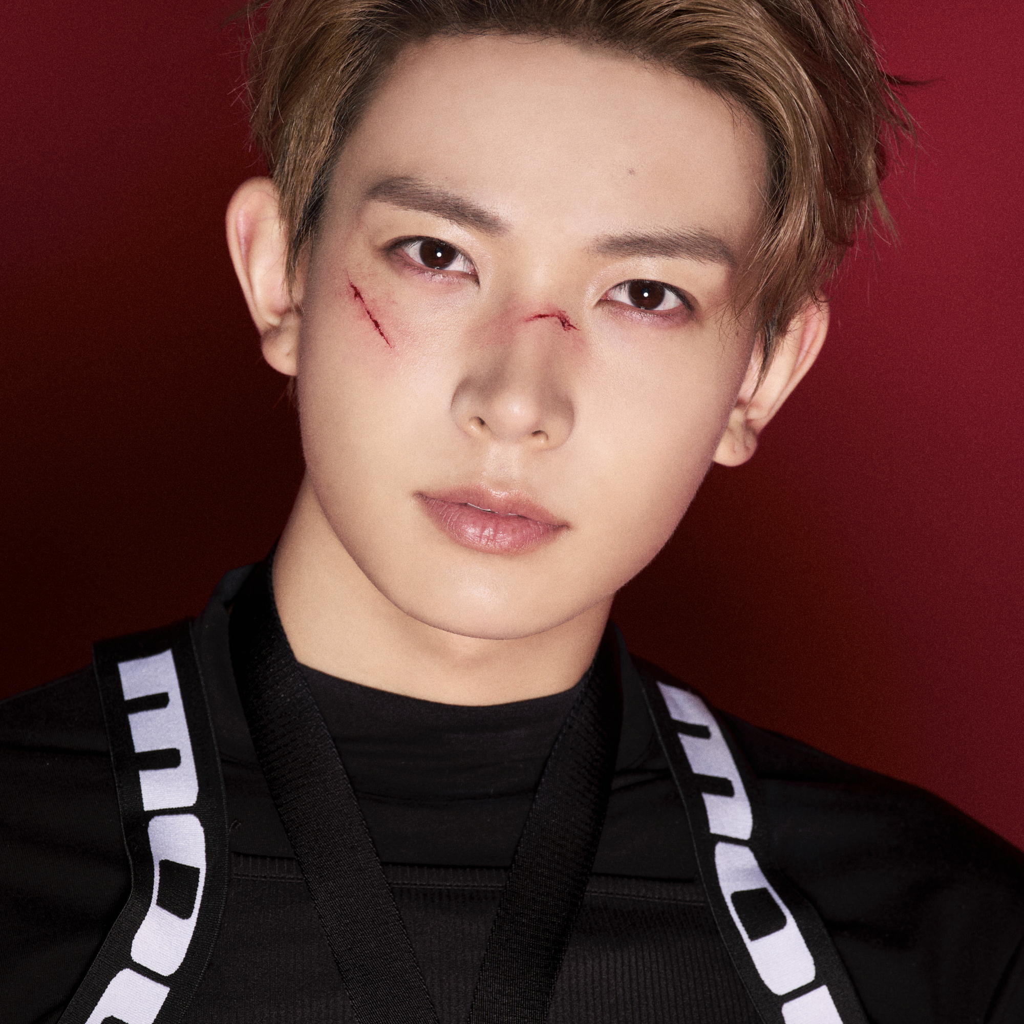 ENHYPEN 팬이 찍은 순간