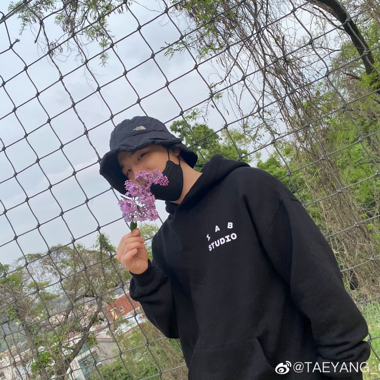 Latest photo of Taeyang (BIGBANG)