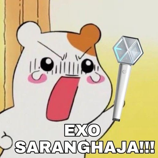 Foto terbaru EXO