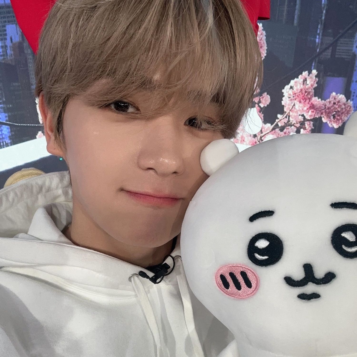 A moment captured by Hyunjae (THE BOYZ)'s fan