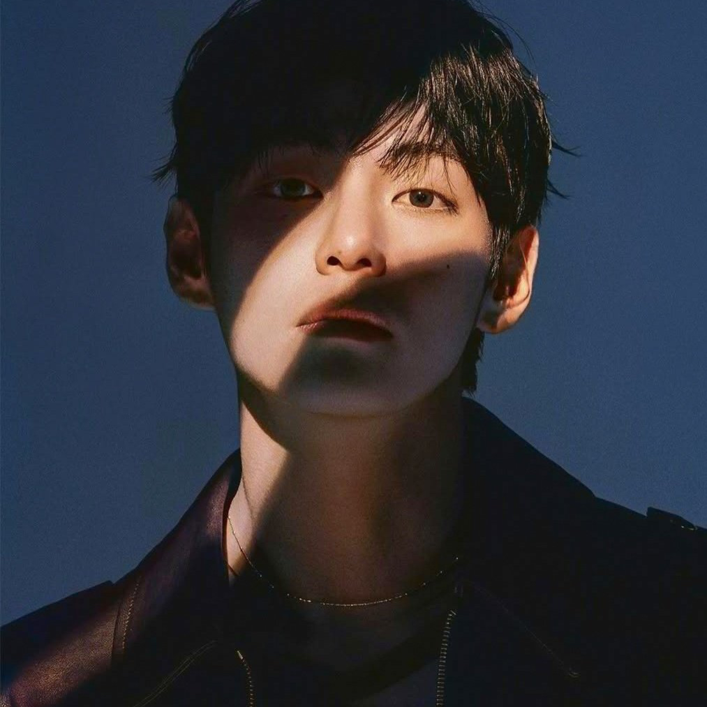 뷔 (방탄소년단) 팬이 찍은 순간