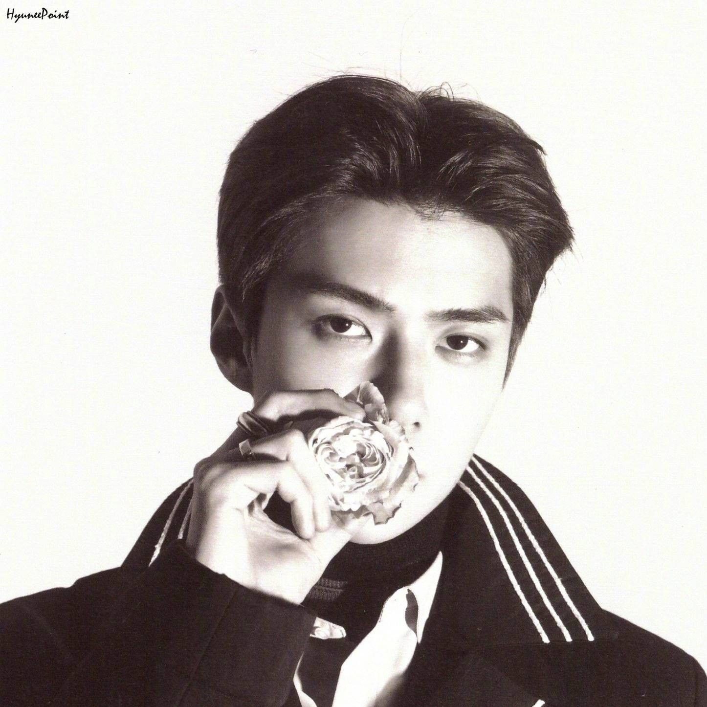 세훈 (EXO) 최근 활동샷