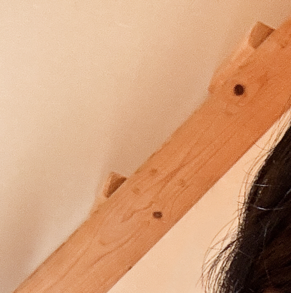 Recent activity shot of Choerry (ARTMS)