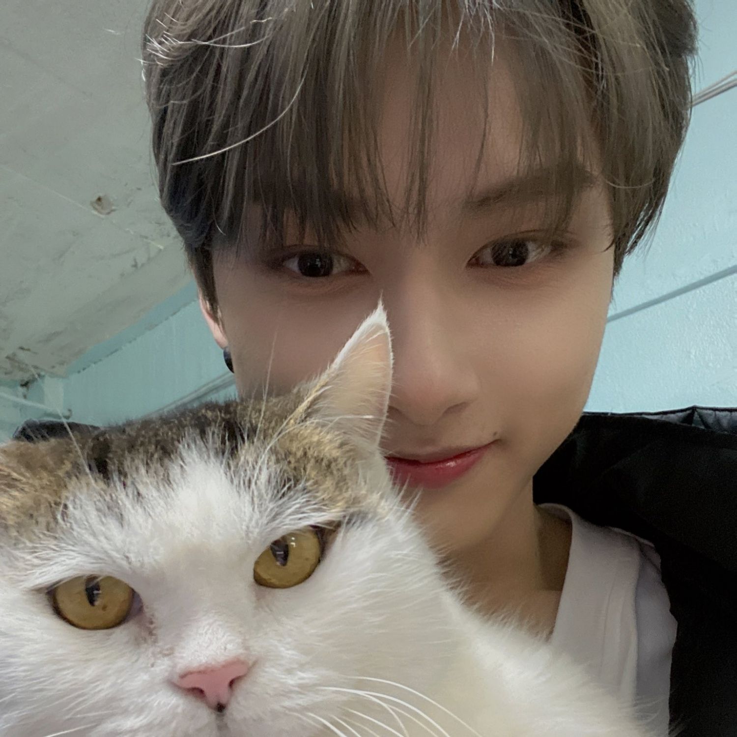 A moment captured by Jun (SEVENTEEN)'s fan