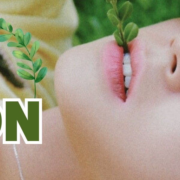 박지훈 팬이 찍은 순간