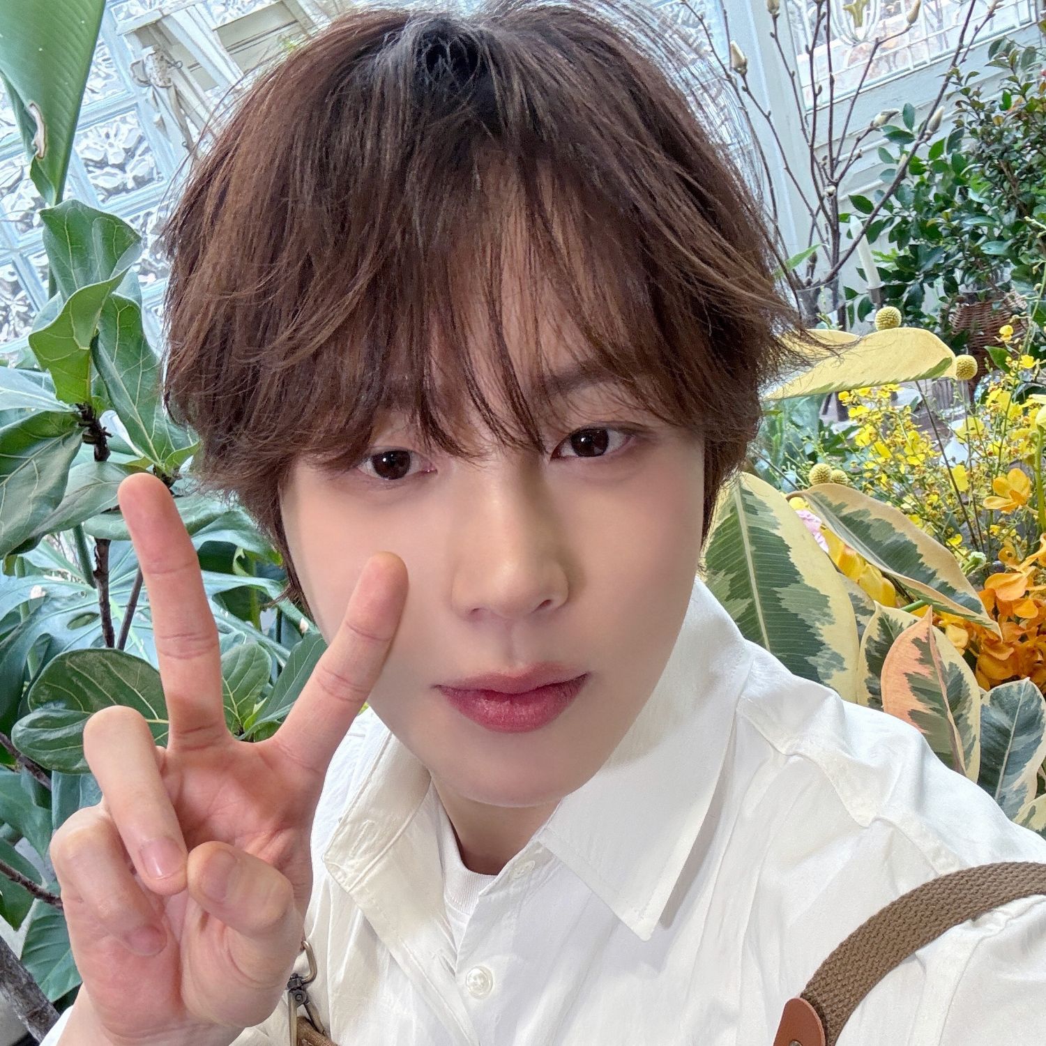 Latest photo of Ha Sungwoon