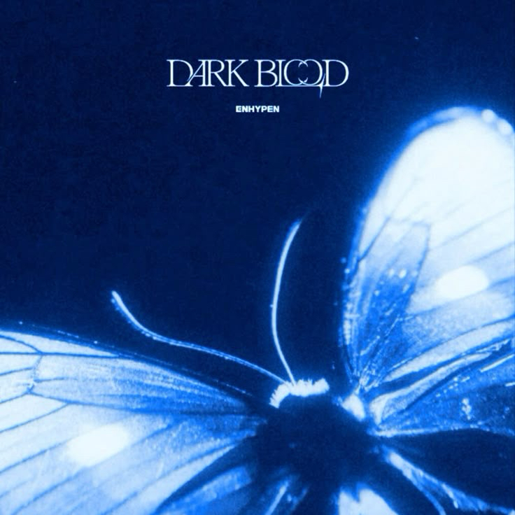 ENHYPEN 최근 활동샷