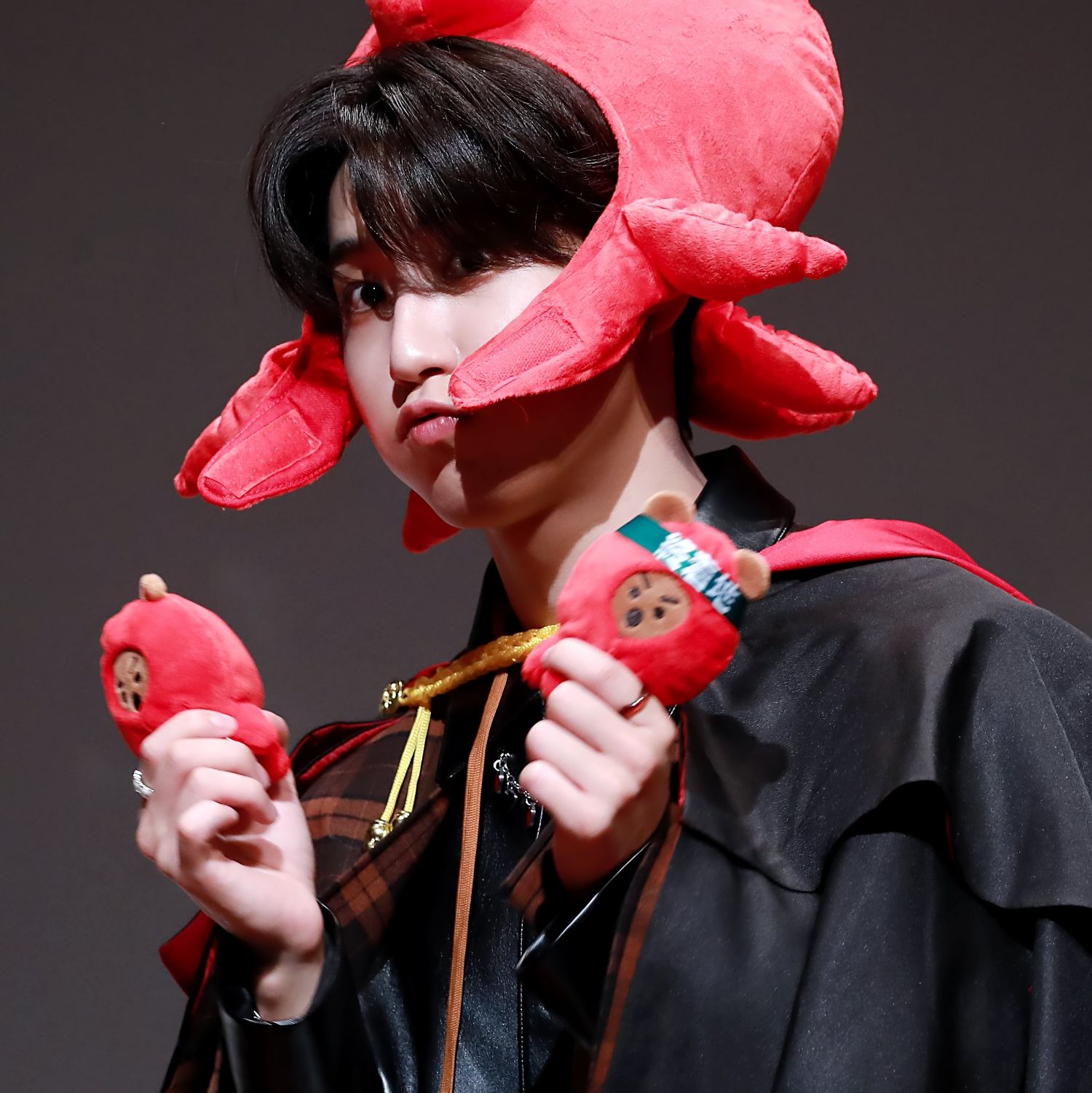 A moment captured by HAN (Stray Kids)'s fan