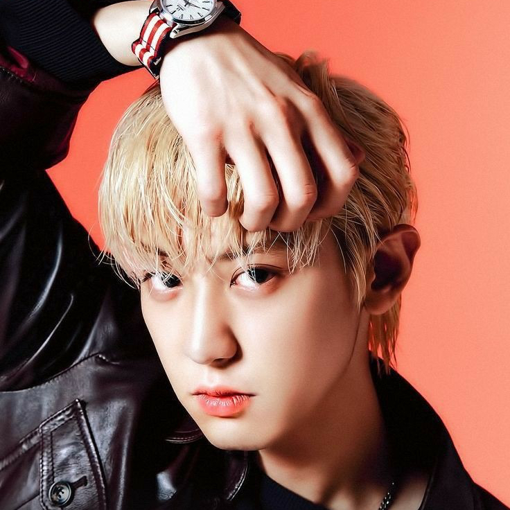 Recent activity shot of Chanyeol (EXO)