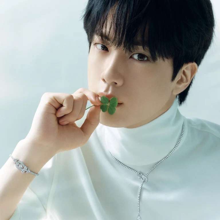 Behind-the-scenes cut of Jin (BTS)