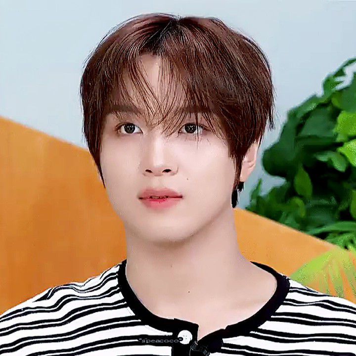 NCT 127, NCT DREAM ヘチャン ファンダムコミュニティ │ KPOP