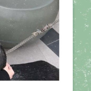 Latest photo of SU A (DREAMCATCHER)