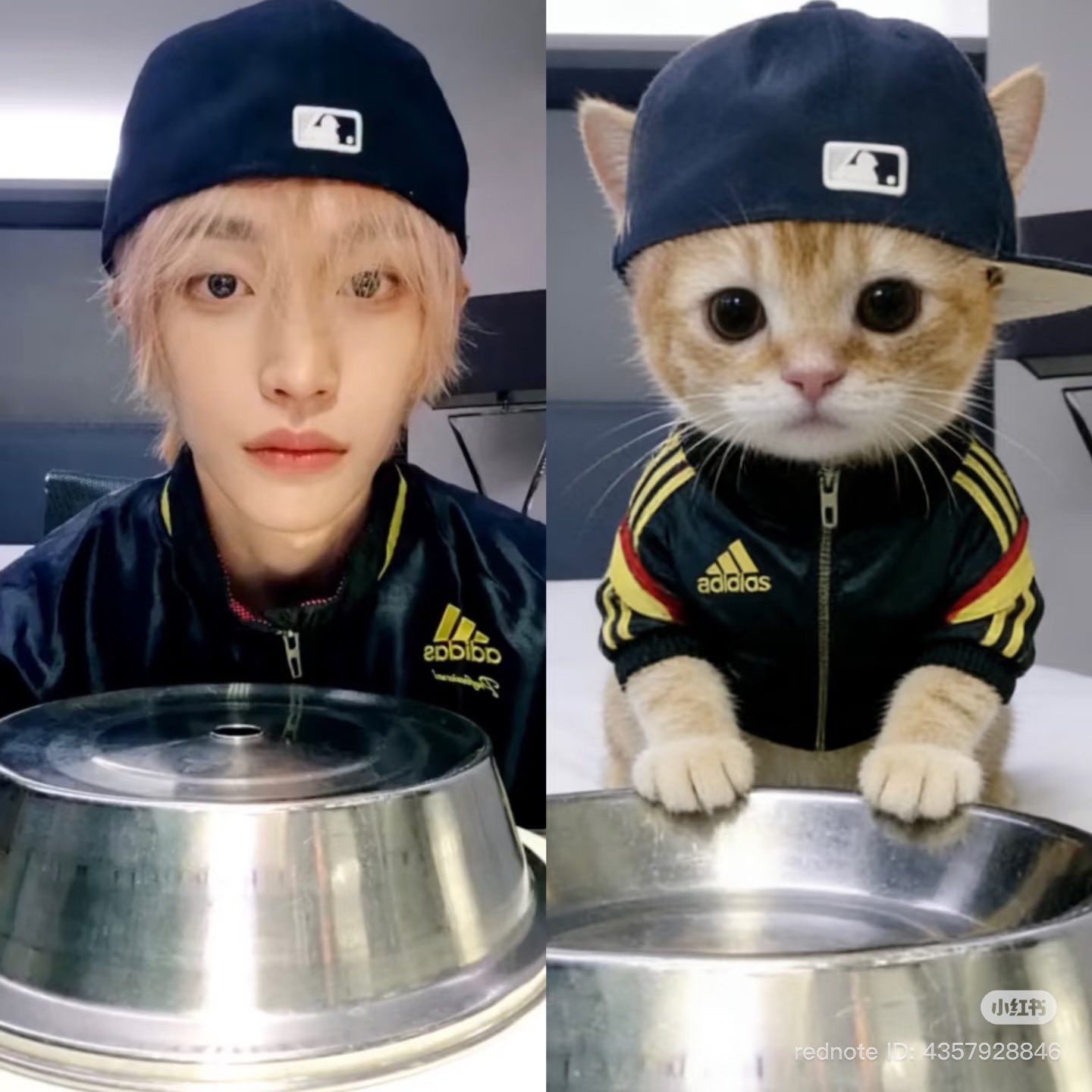 Recent activity shot of RIIZE