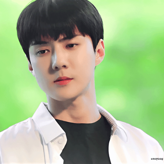 セフン (EXO)ファンが撮った瞬間