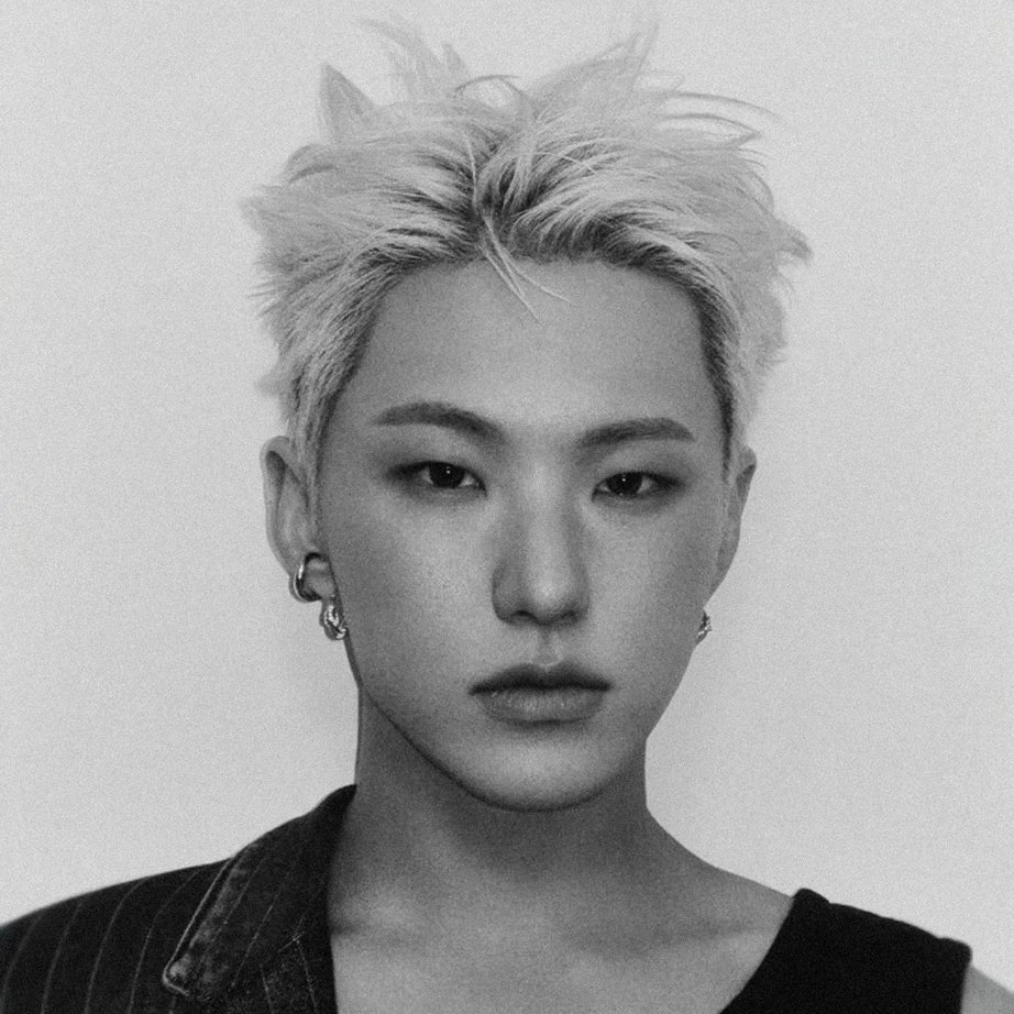 A moment captured by Hoshi (SEVENTEEN)'s fan