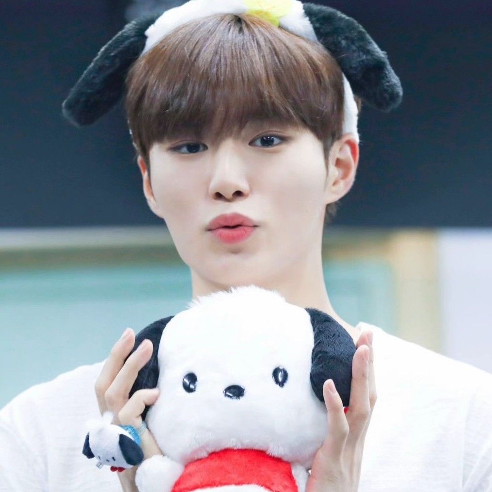 Recent activity shot of Kim Junseo (ALPHA DRIVE ONE)