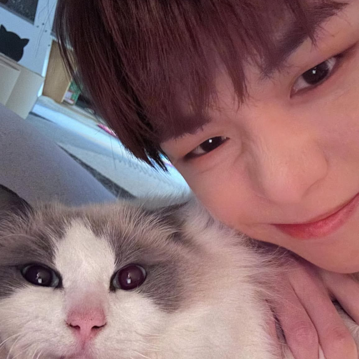강다니엘의 최신 사진