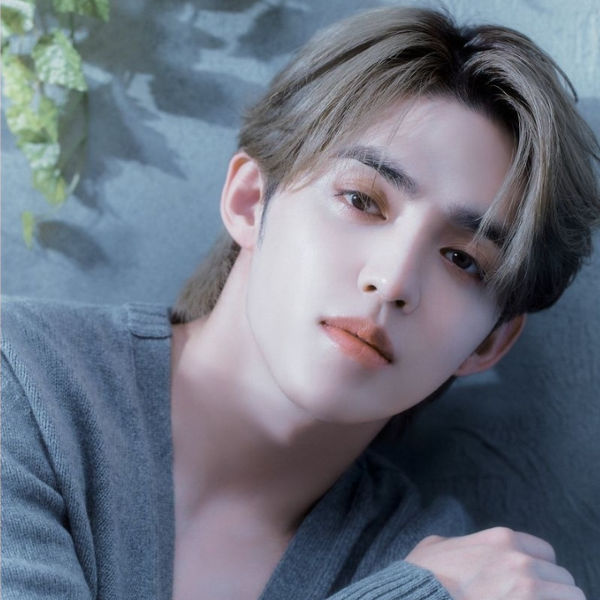 S.Coups (SEVENTEEN)粉丝拍下的瞬间
