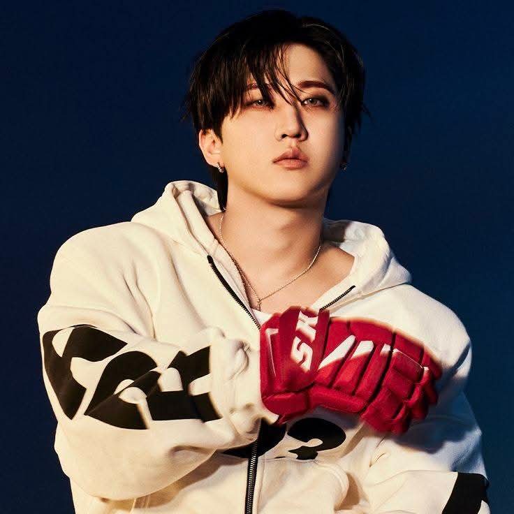 チャンビン (Stray Kids)の最近の活動写真