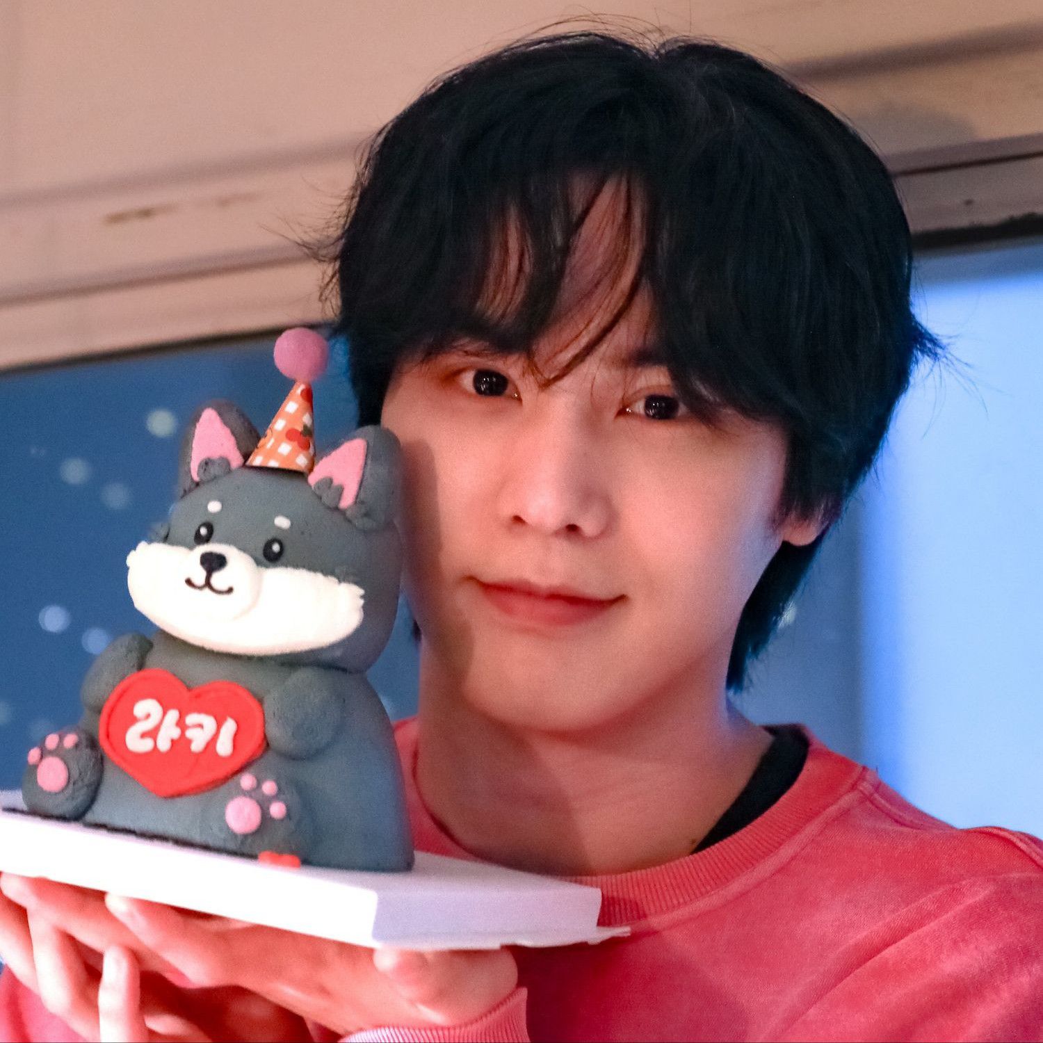 Recent activity shot of Rocky