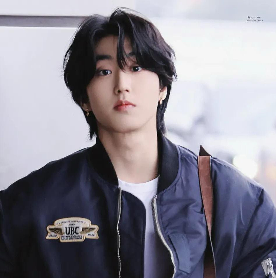 A moment captured by HAN (Stray Kids)'s fan