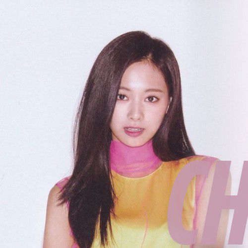 A moment captured by Tzuyu (TWICE)'s fan