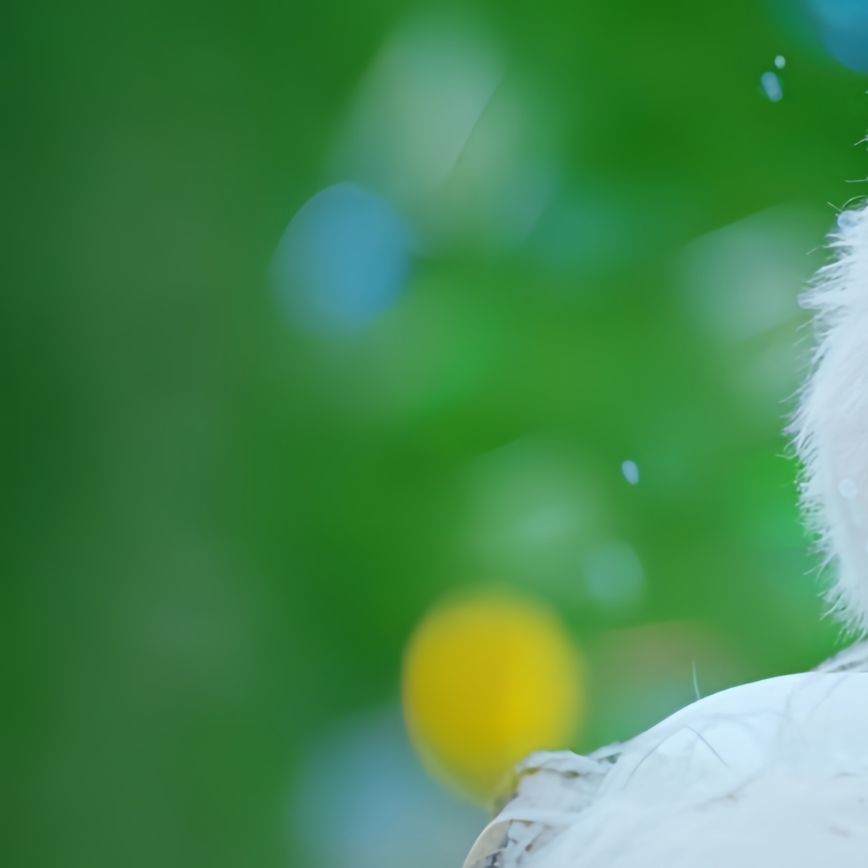 Nana (UNIS)的最新活動照片