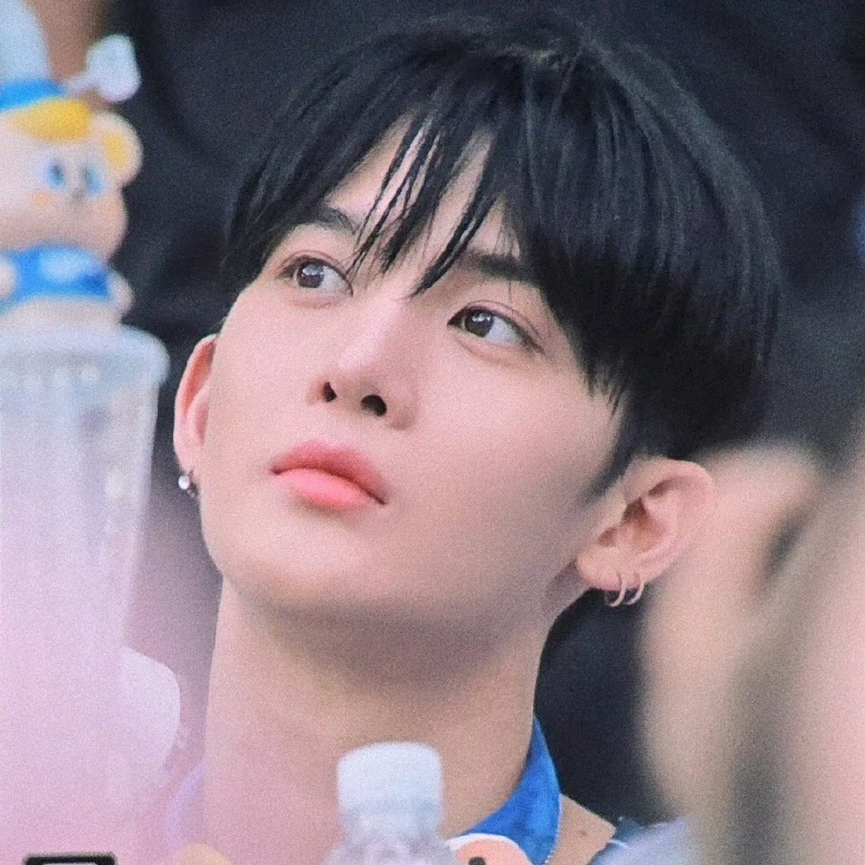 裴珍映粉絲拍下的瞬間