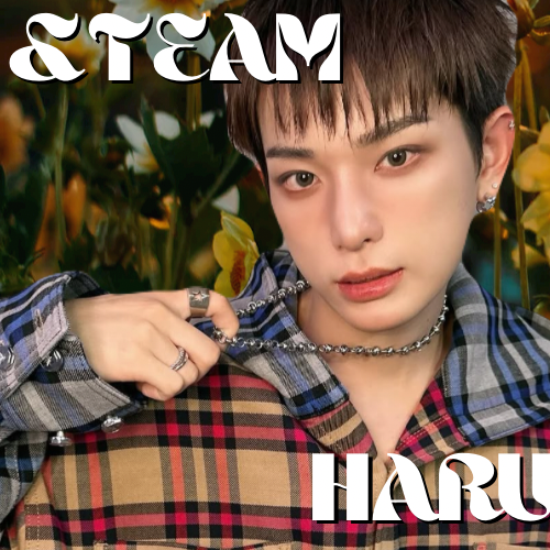 コミュニティで話題の人気アイドルコンテンツ