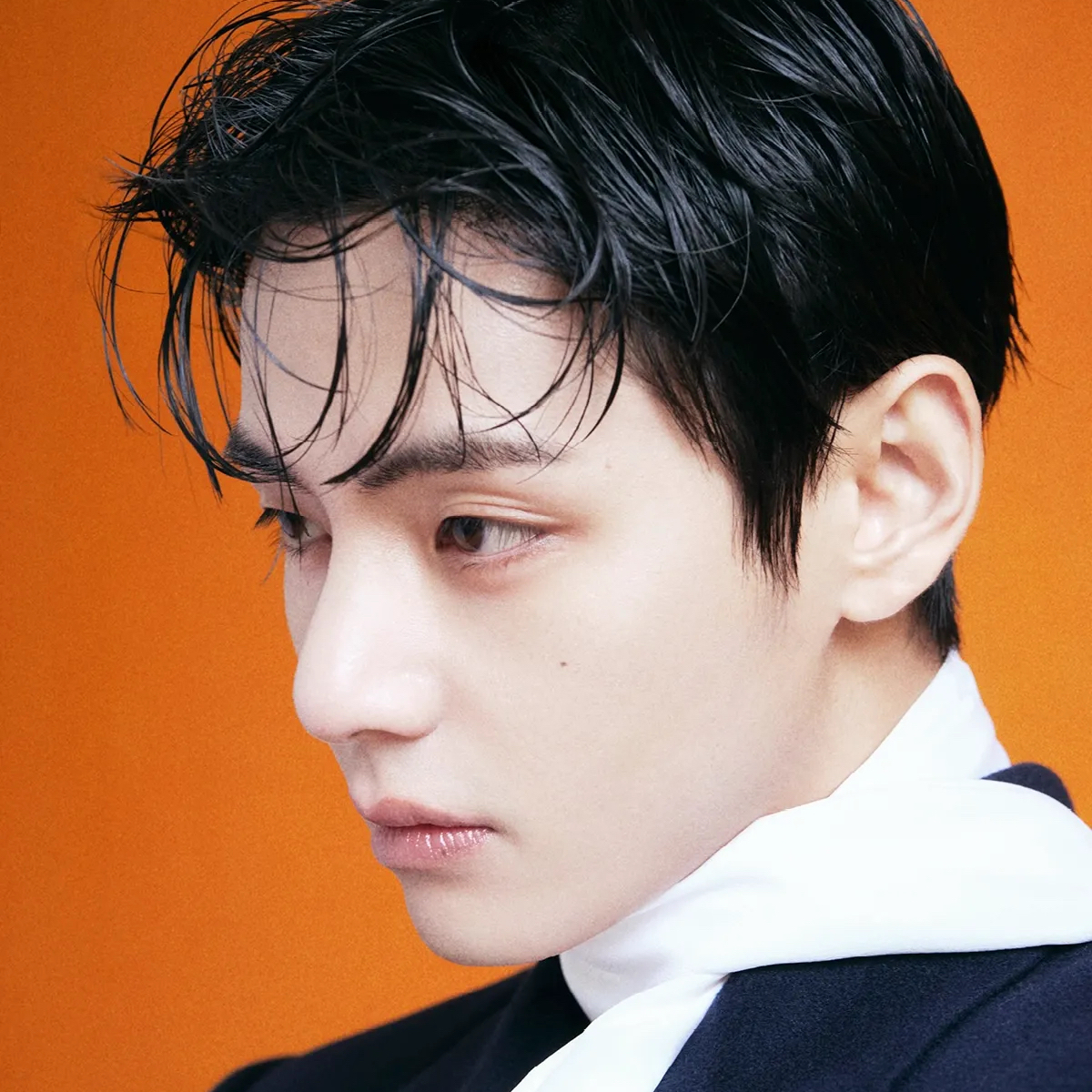 Potret di balik layar V (BTS)