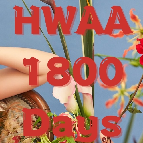 舒華 (i-dle)的最新照片