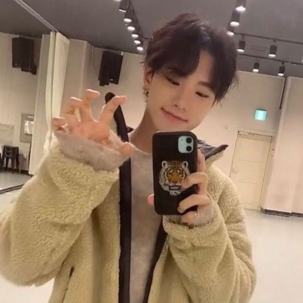 A moment captured by Hoshi (SEVENTEEN)'s fan