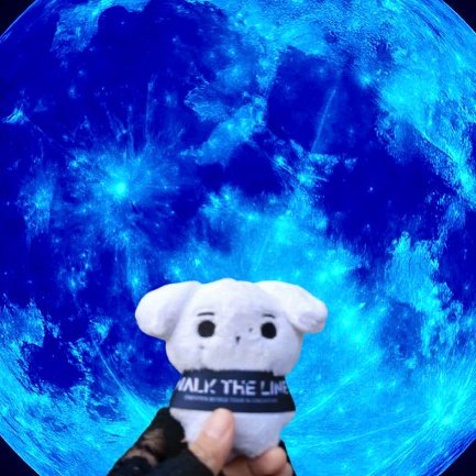 Behind-the-scenes cut of Sunghoon (ENHYPEN)