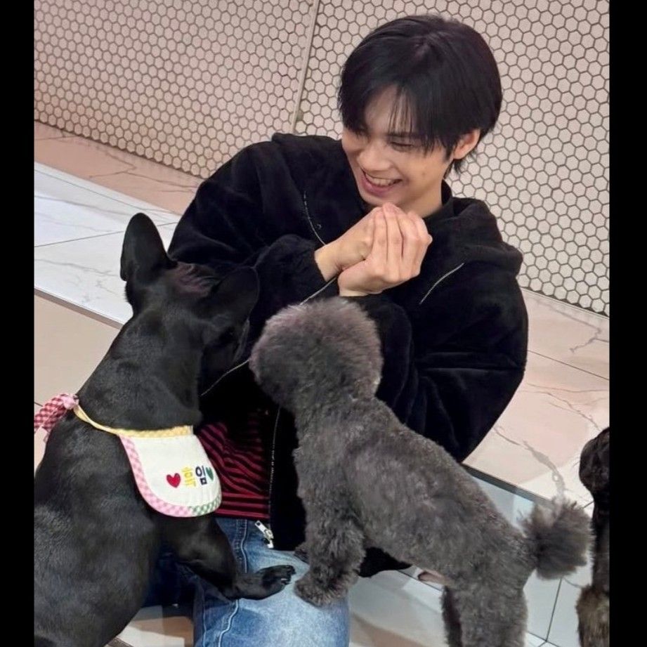 Behind-the-scenes cut of Rocky