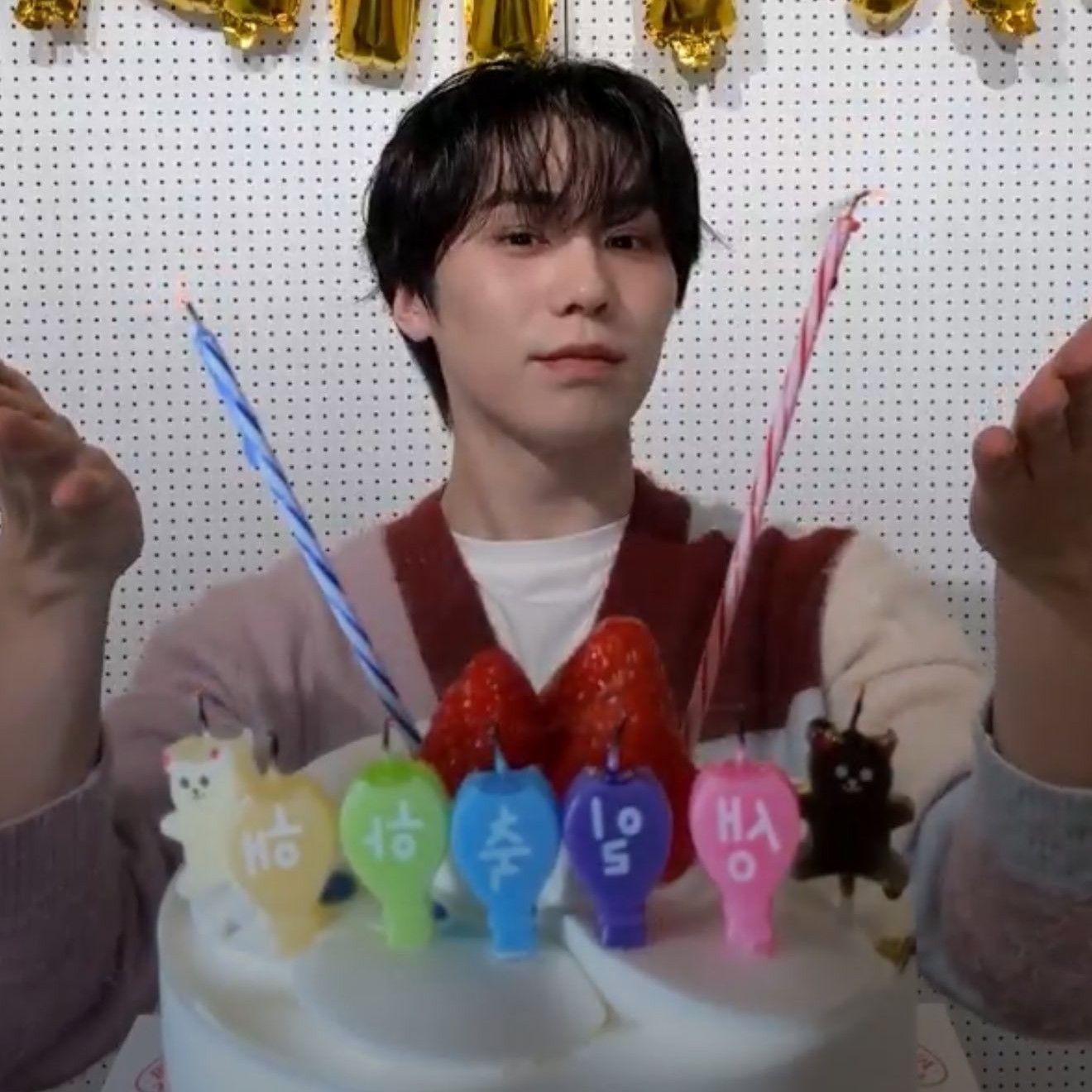 Recent activity shot of Rocky