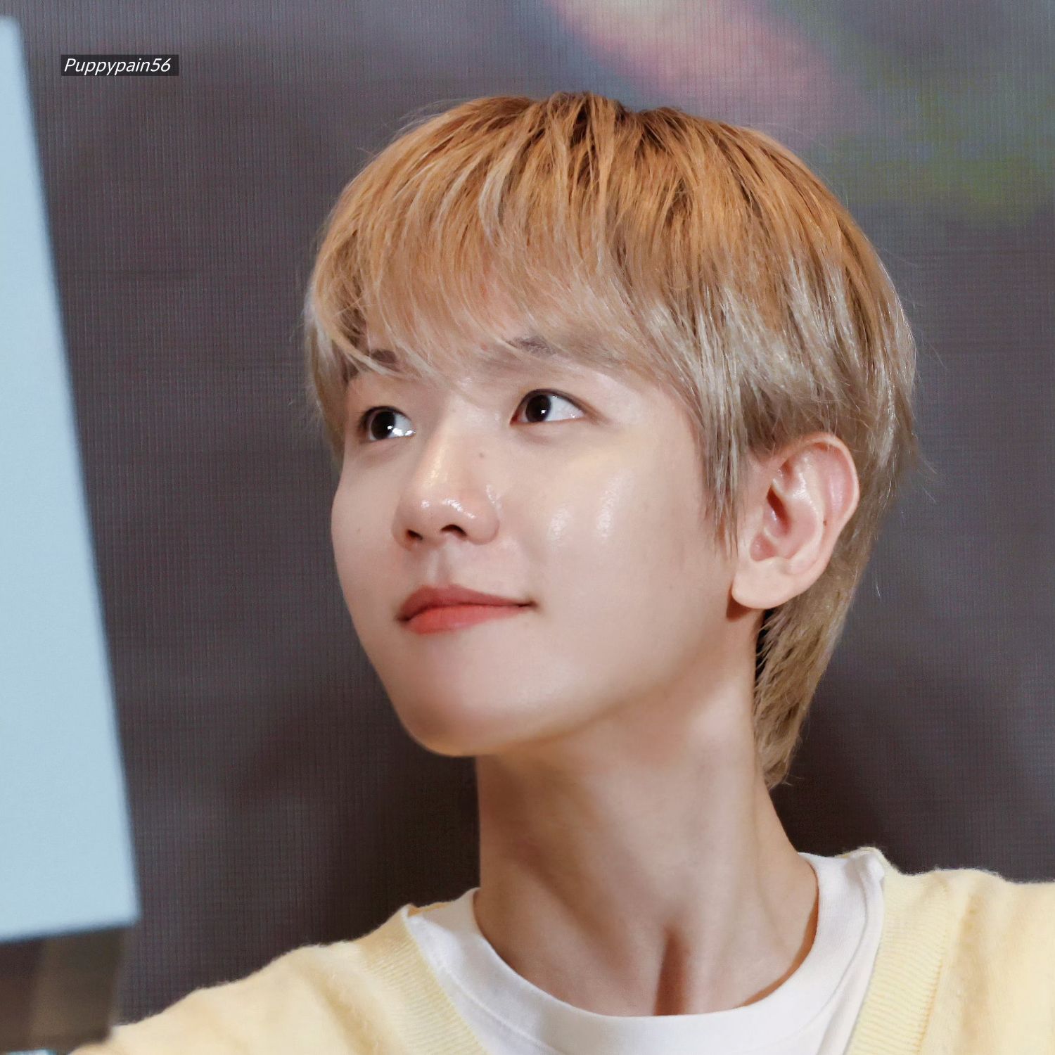 伯賢 (EXO)的最新照片