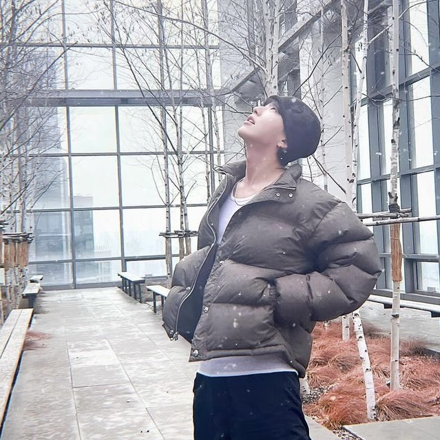 A moment captured by SEVENTEEN's fan