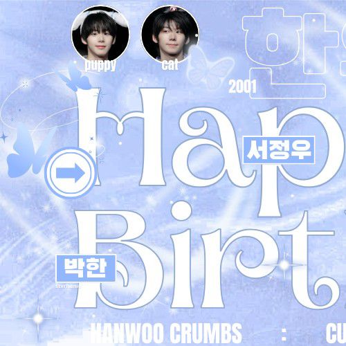 Today's hottest K-pop community feed