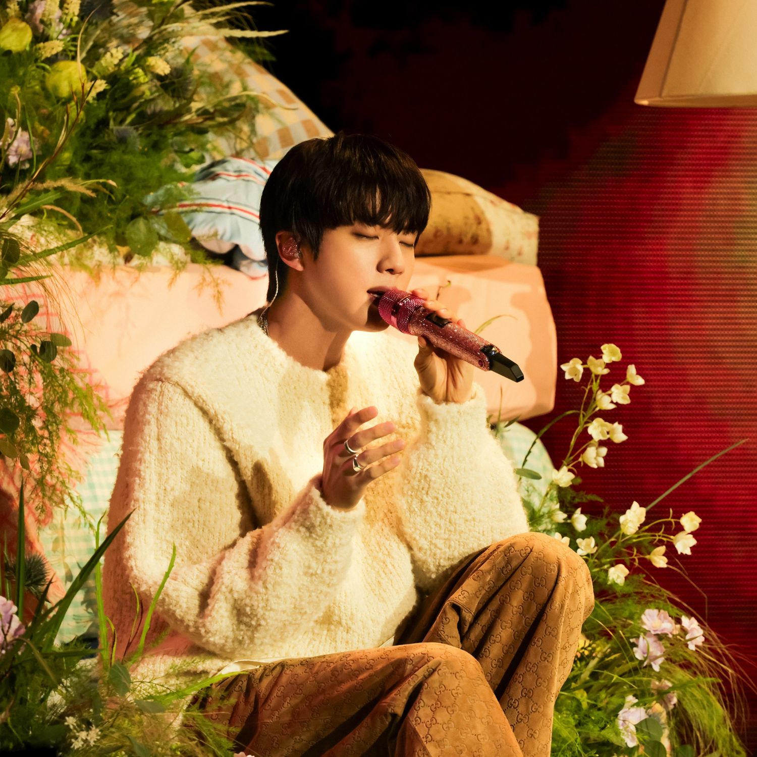 진 (방탄소년단) 팬이 찍은 순간