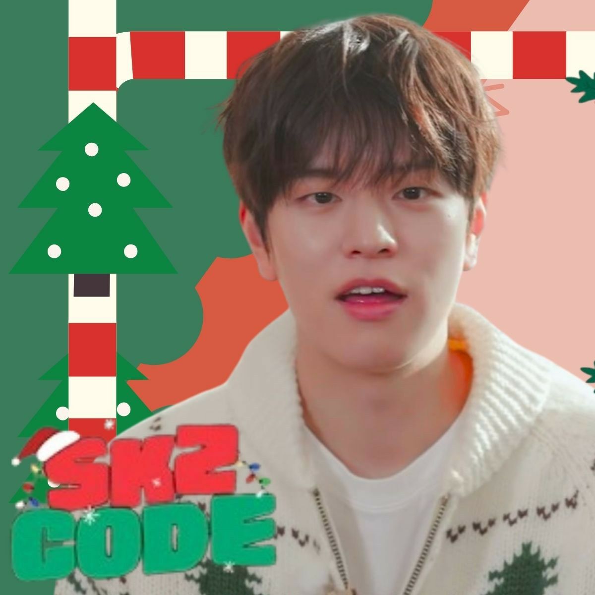 A moment captured by Seungmin (Stray Kids)'s fan