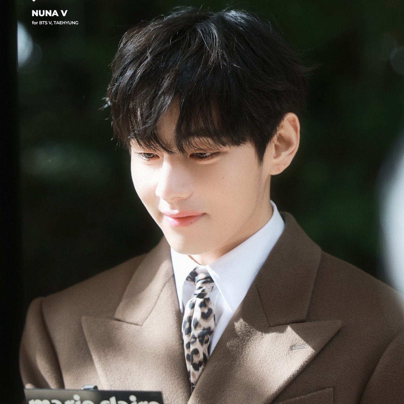 방탄소년단 팬이 찍은 순간