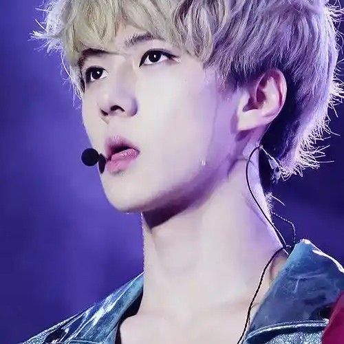 Momen yang diabadikan oleh penggemar Sehun (EXO)
