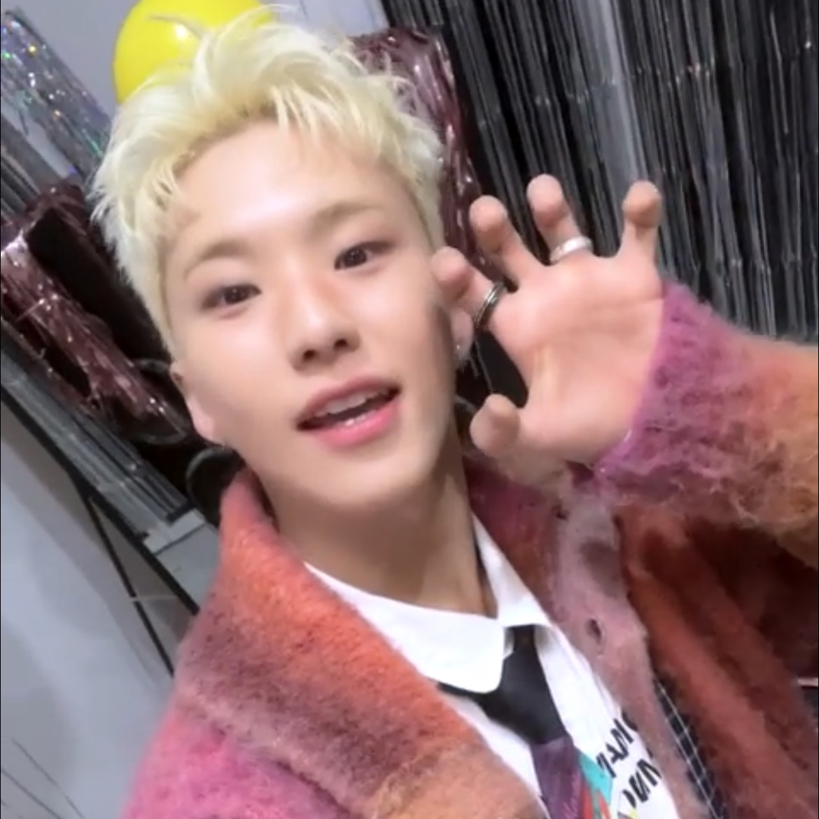 SEVENTEENファンが撮った瞬間