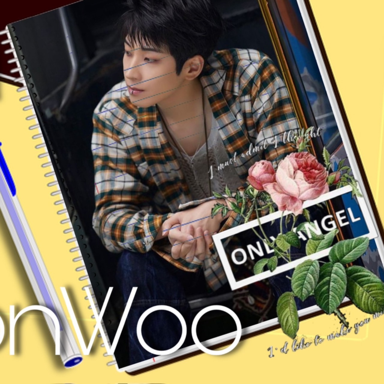 Recent activity shot of Wonwoo (SEVENTEEN)