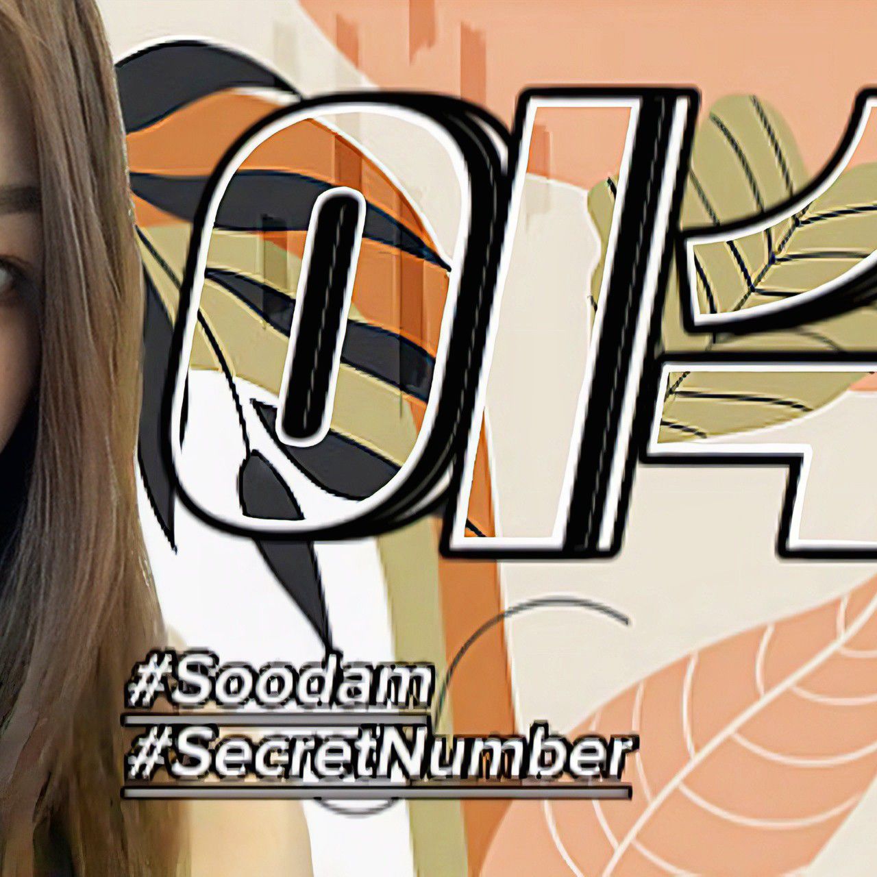 Recent activity shot of Soodam (SECRET NUMBER)