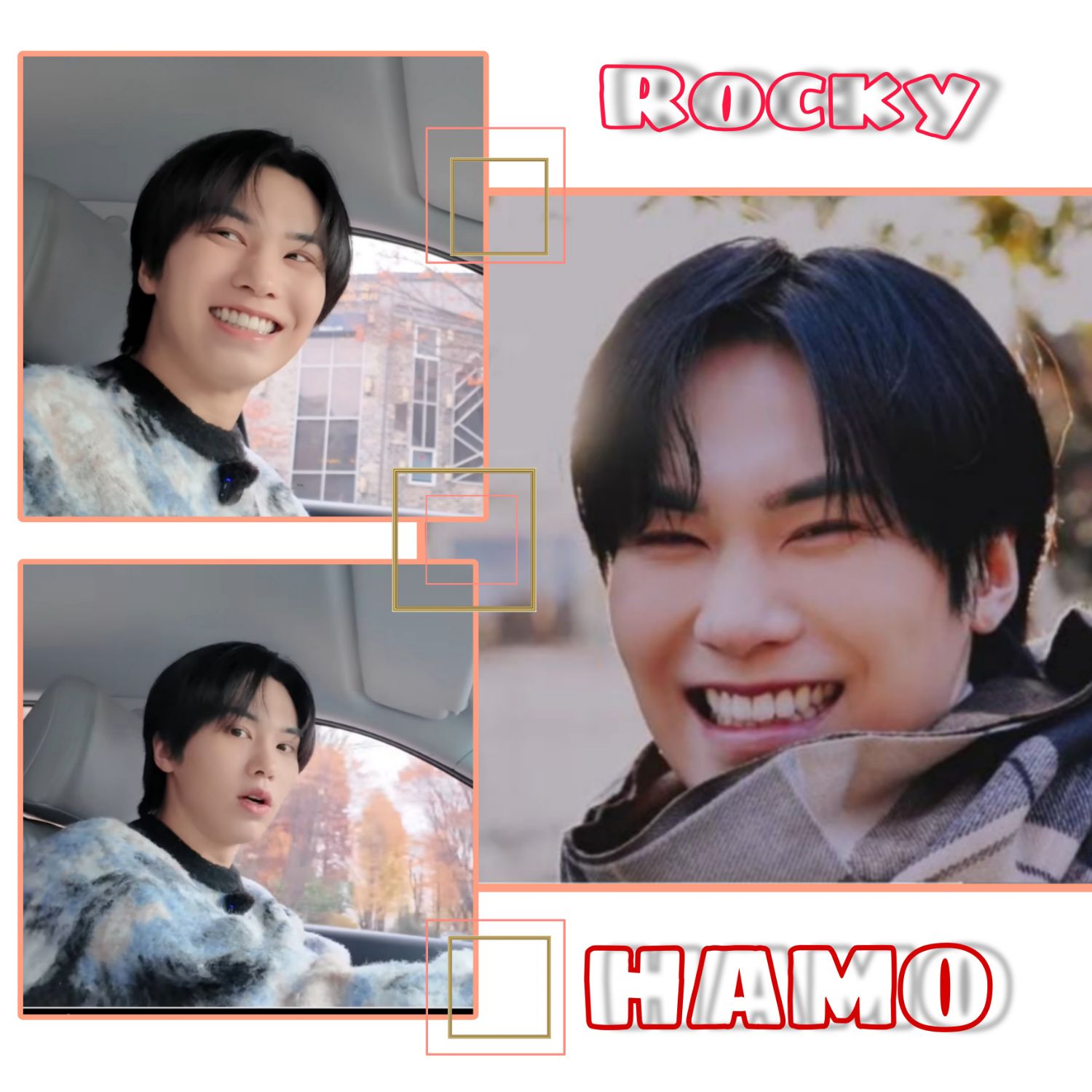 Latest photo of Rocky