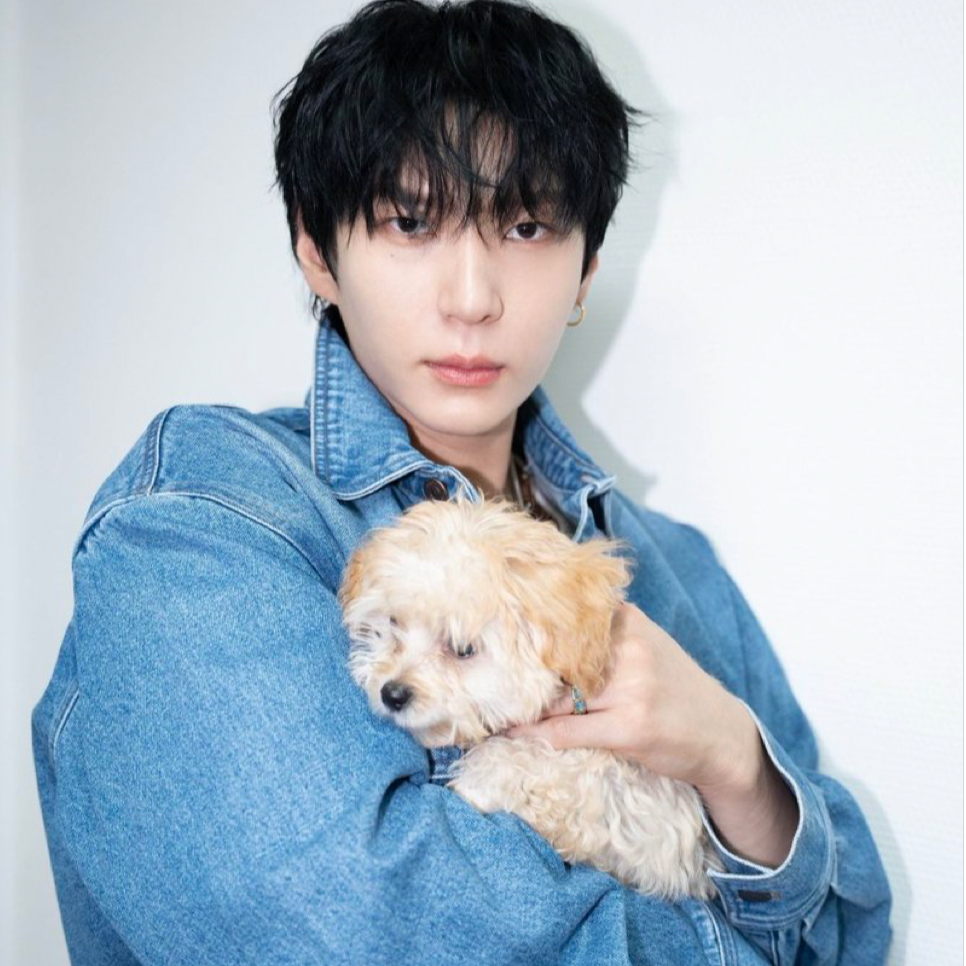 Feed komunitas K-pop terpanas hari ini