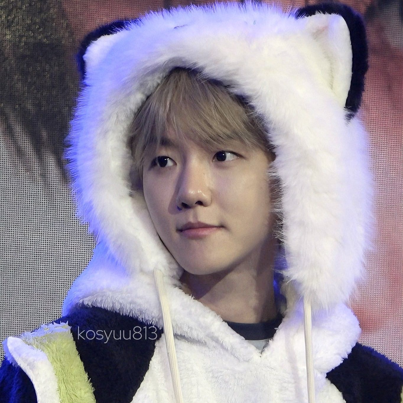 백현 (EXO) 팬이 찍은 순간