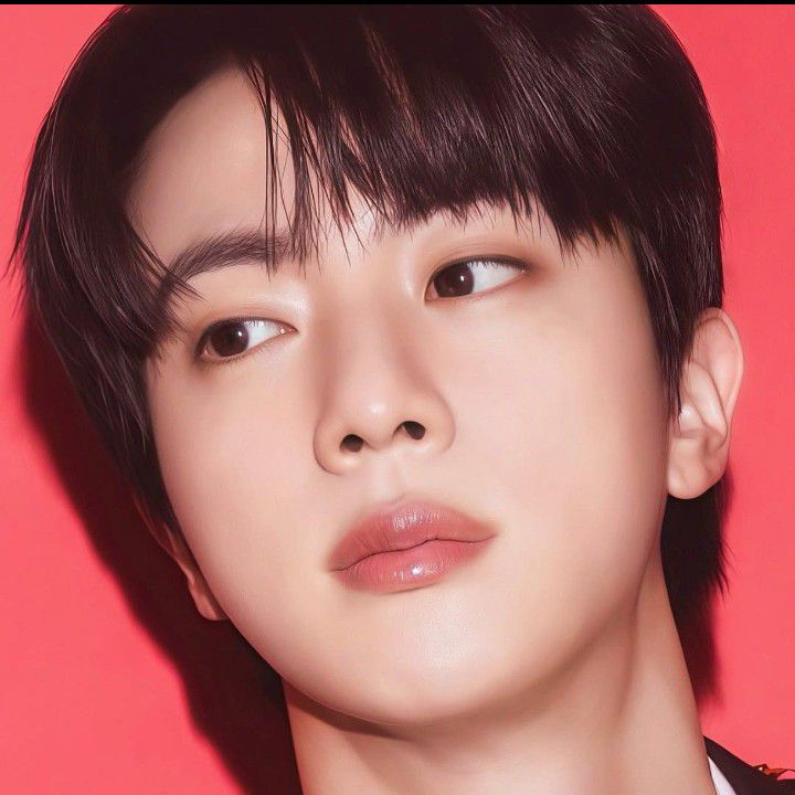 A moment captured by Jin (BTS)'s fan